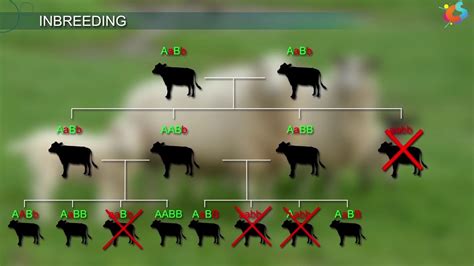 An Introduction To Animal Husbandry - DaftSex HD