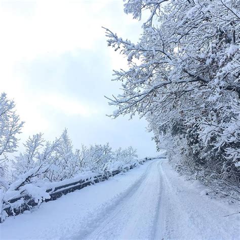 Emergenza Neve In Sicilia Situazione Critica Sono Giorni Terribili