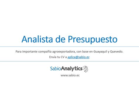 Analista De Presupuesto Sabio Analytics Talento Humano