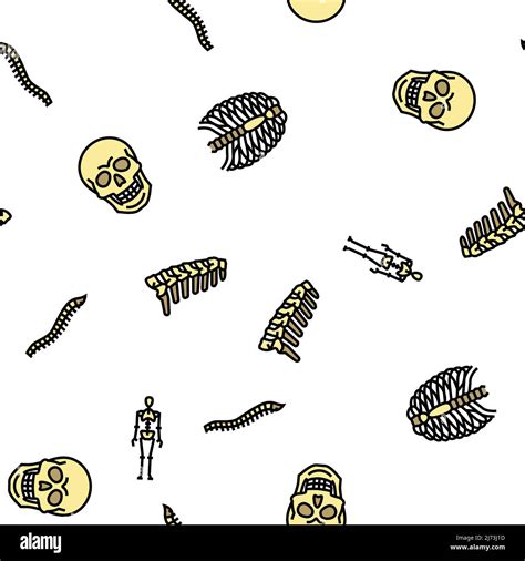 Bone Human Skeleton Structure Vector Seamless Pattern Stock Vector