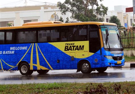 PAD Bus Trans Batam Meningkat Jadi Rp 6 Miliar Tahun Ini Metropolis