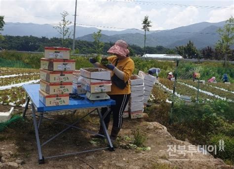 남원시 여성농업인 농작업 편의장비 지원 전북투데이