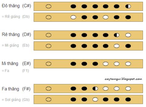 Cách bấm thổi các nốt nhạc trên sáo trúc 6 lỗ Bút Chì Xanh