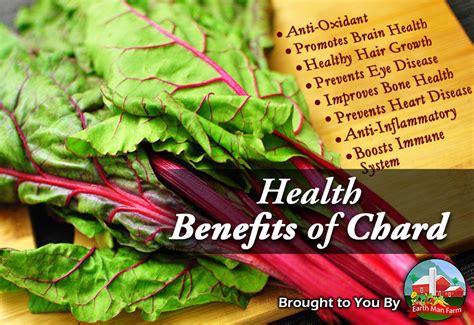 Health Benefits Of Chard Earth Man Farm