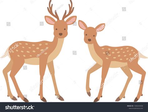 Illustration Stag Female Deer Stock Vector Royalty Free 1500243458 Shutterstock