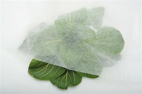 Agfabric Floating Row Cover Frost Protect Plant Cloth For