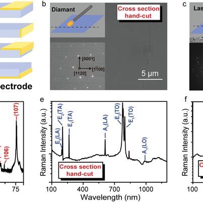 Structure and characterization of the self‐powered 4H‐SiC PD. a) A ... 