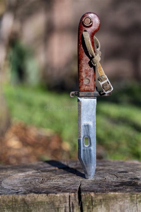 Military Old Bayonet Knife in a Wooden Stump, Closeup, Outdoors ...