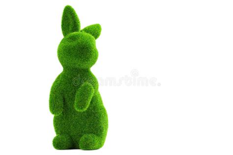 Easter Bunny Or Rabbit Green Grass Bunny Good For Easter Egg Hunt