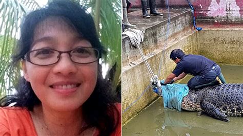 Indonesian Woman Mauled To Death By Giant Pet Crocodile Bbc News