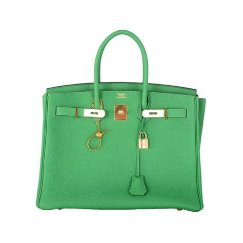 What Is A Birkin Bag Look Like Iqs Executive