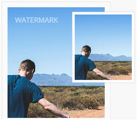 Aplikasi Penghilang Watermark Foto Dan Video Di Android Dan Pc