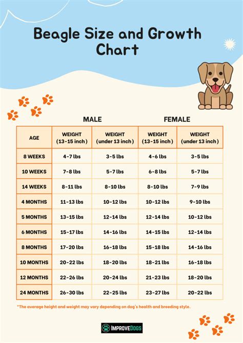 Beagle Growth Chart - Find Out Your Beagle's Size and Weight By Age ...