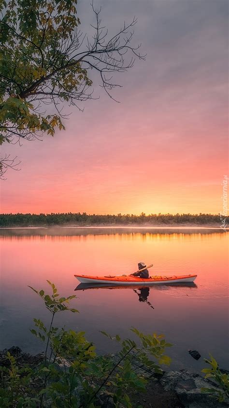 Kajakarz Na Rzece French River Tapeta Na Telefon