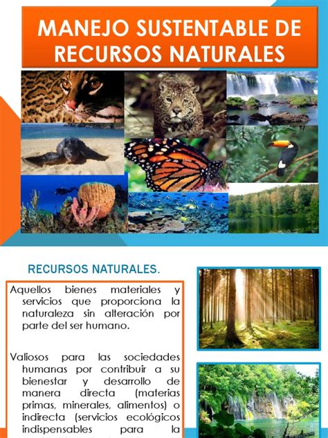 Manejo Sustentable De Recursos Naturales Ecosistema Sustentabilidad