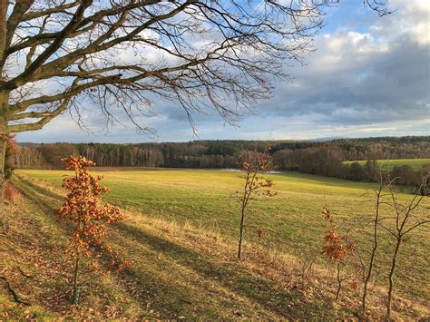 Hochtouren Dresden On Twitter 4 Februar 2021 Tauwetterlandschaft