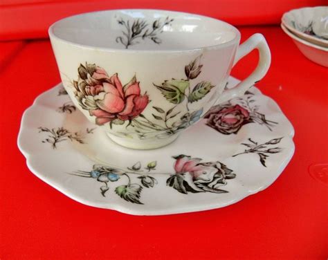 Johnson Brothers Teacup Saucer A Day In June Made In England Teacup