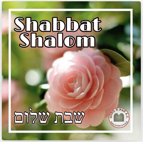 Pin By Maria Roberts On Shabbat Shalom Y Shavua Tov Frases Shabbat Shalom Feasts Of The Lord