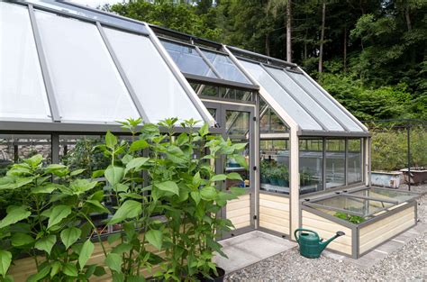 A Contemporary Greenhouse - Cultivar