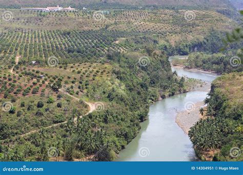 Meandering Cagayan River Philippines Royalty-Free Stock Photo | CartoonDealer.com #14304951