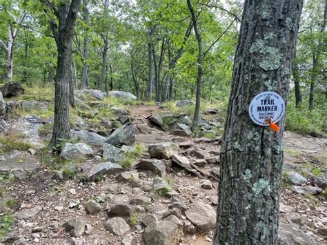 hiking cold spring ny   venture