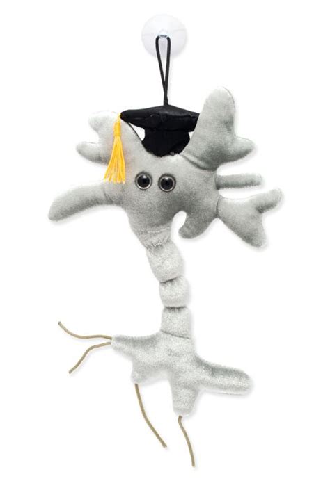 Giant Microbes Graduation Brain Cell Plush The Greener Bookstore