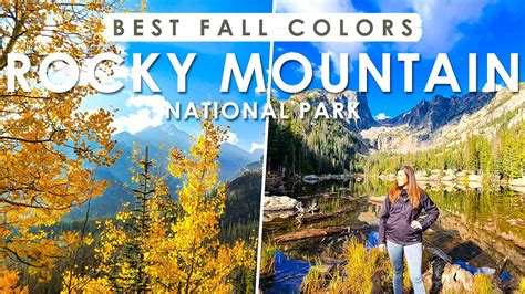 FALL COLORS In ROCKY MOUNTAIN National Park Best Place To See Fall