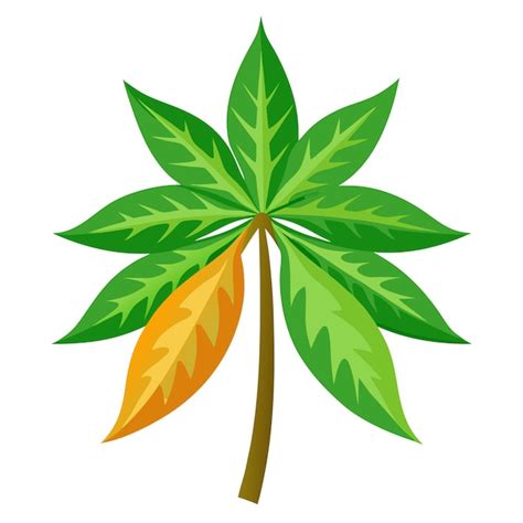 Papaya Leaf Clipart Vector Art And Illustration Premium Ai Generated