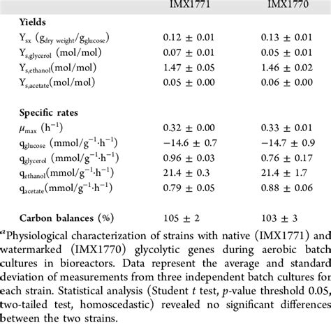 Physiological Characterization In Bioreactor Of Yeast Strains With