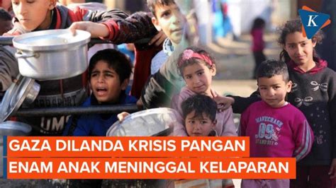 Krisis Pangan Warga Gaza Terpaksa Memakan Tanaman Liar Untuk Bertahan