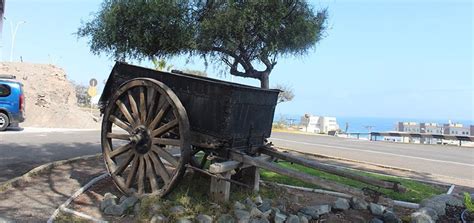 D A De Los Patrimonios Ucn Abre Las Puertas De Sus Museos A La