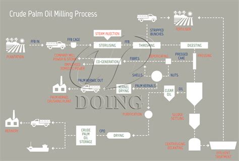 Palm oil production process pdf_Company news