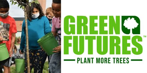 Plant More Trees Growing A Greener Future Tree Trust