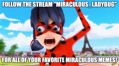 Miraculousladybug Stream Imgflip