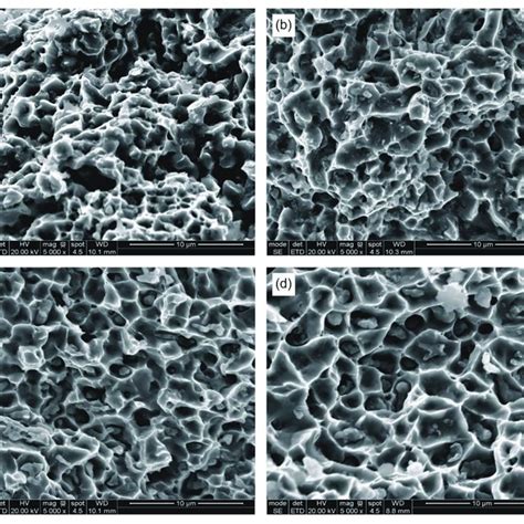 Sem Fractographs Of Samples Sintered At A C B C C