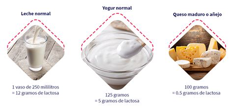 Aprende A Sustituir Los Alimentos Con Lactosa