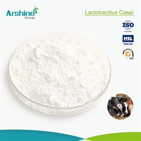 Best Selling Probiotics Lactobacillus Casei Powder Lactobacillus Caseis