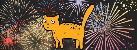 Cats And Fireworks Pdsa