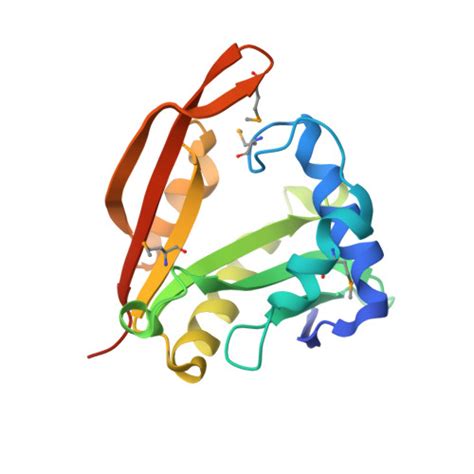 Rcsb Pdb Vhs Crystal Structure Of A Putative Phosphinothricin N