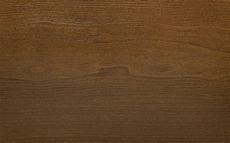 Aeris™ Wood & Vinyl Windows in Cincinnati, OH - Windows Plus