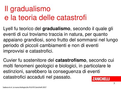 13 11 11 13 11 Ppt Scaricare