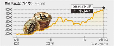 폭주하는 비트코인 화폐의 미래 탐욕의 신기루 국민일보