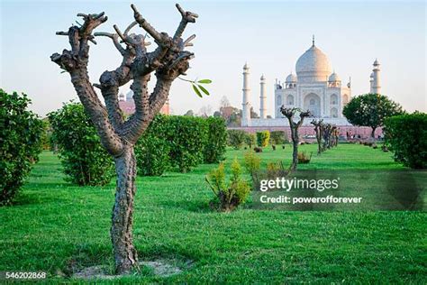 33 Taj Mahal India In Moonlight Stock Photos, High-Res Pictures, and ...