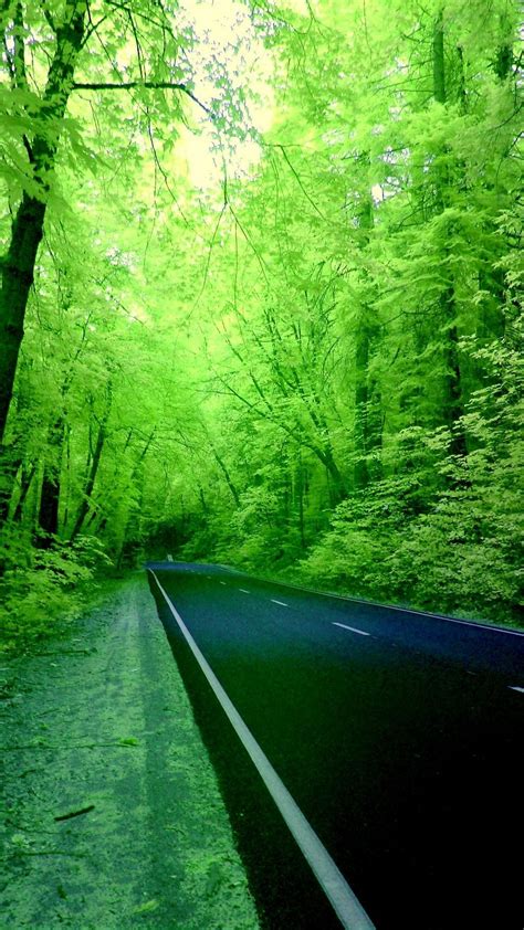 iphone green nature hd wallpapers wallpapersafari