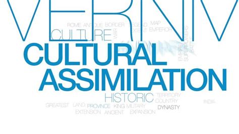 Cultural Assimilation Cartoon