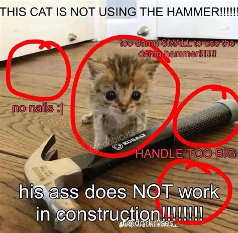 His Ass Does NOT Work In Construction Meme By Deleted