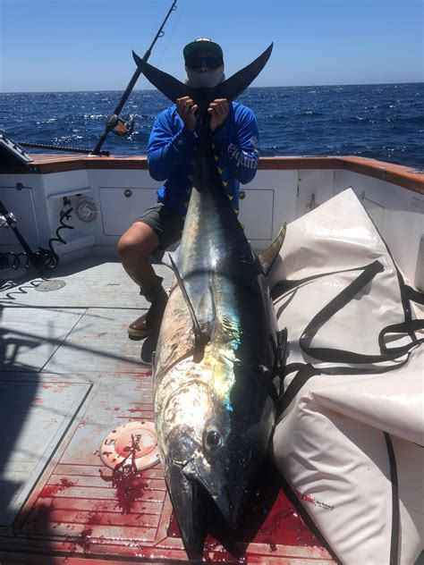 Six Pack Fishing Blog — San Diego Tuna Fishing Erin Anne