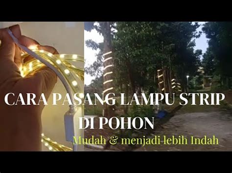 Cara Pasang Lampu Led Strip Di Pohon Untuk Penerangan Memperindah