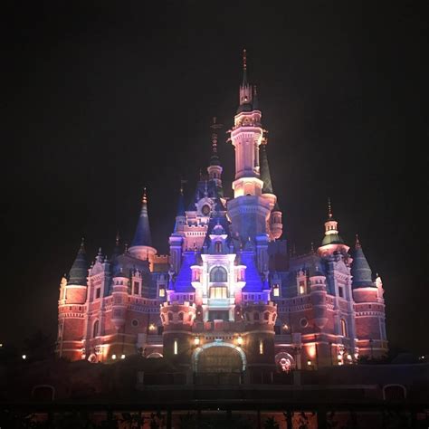 8 Unique Shanghai Disneyland Rides You Have to See • Delightful Life