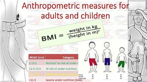 Anthropometric Measurements for Adults and Children: A Comprehensive ...